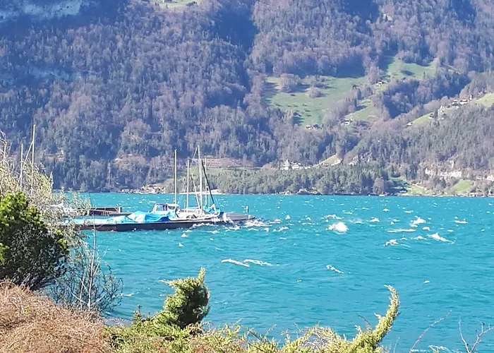 Berner Oberland Am Thunersee *