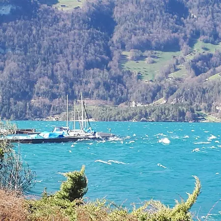 Berner Oberland Am Thunersee *